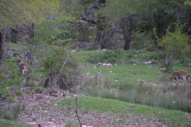 Senderismo en Jaen